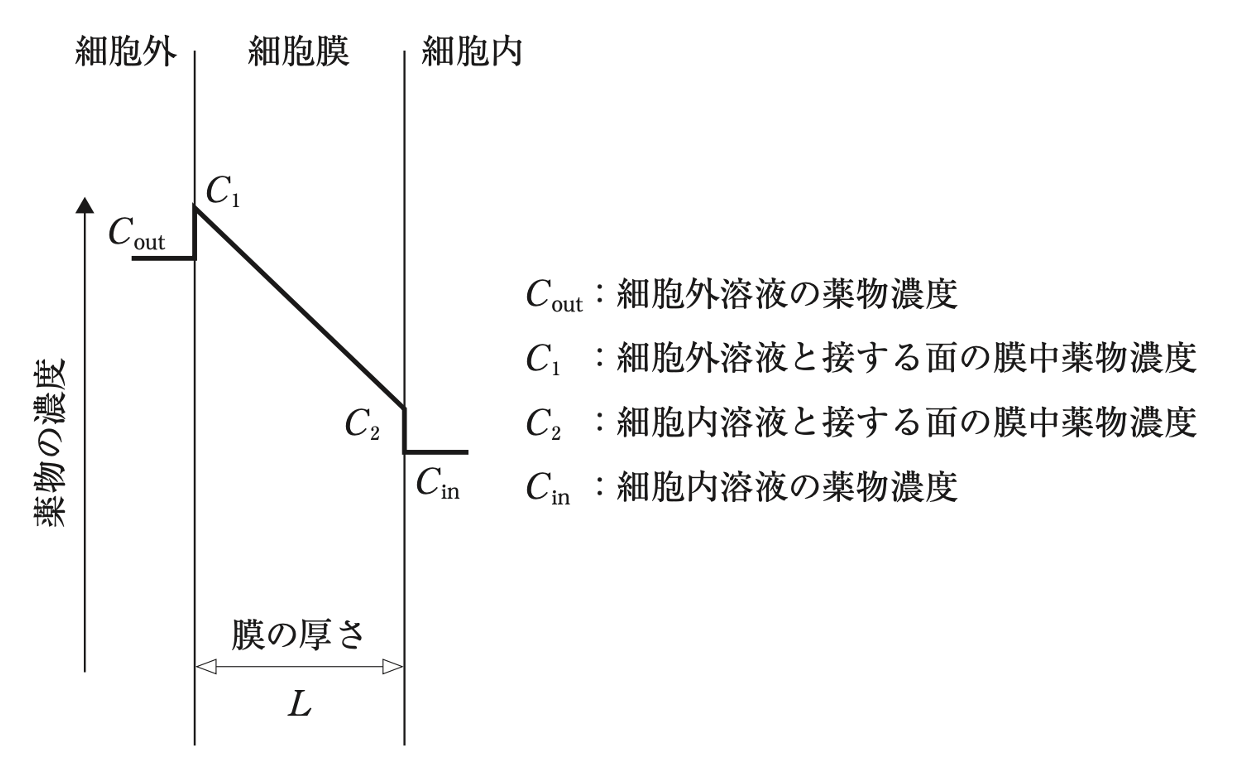 解説画像